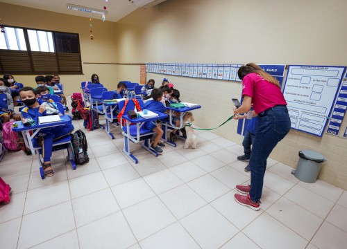 Projeto Cuidar e Adotar em um ato de Amor