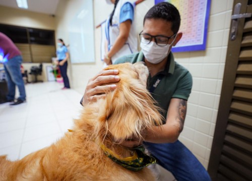 Projeto Cuidar e Adotar em um ato de Amor