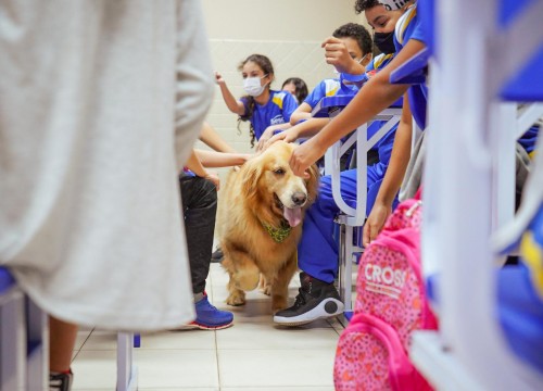 Projeto Cuidar e Adotar em um ato de Amor