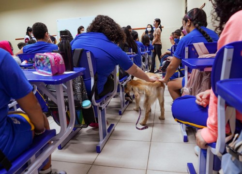 Projeto Cuidar e Adotar em um ato de Amor