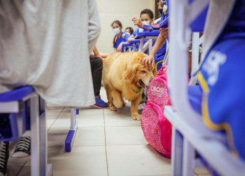 Projeto Cuidar e Adotar em um ato de Amor