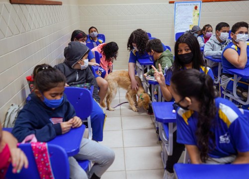 Projeto Cuidar e Adotar em um ato de Amor