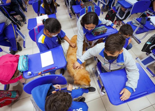 Projeto Cuidar e Adotar em um ato de Amor