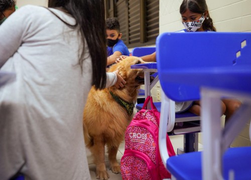 Projeto Cuidar e Adotar em um ato de Amor