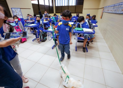 Projeto Cuidar e Adotar em um ato de Amor