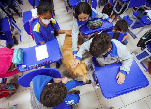 Projeto Cuidar e Adotar em um ato de Amor