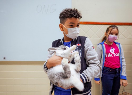 Projeto Cuidar e Adotar em um ato de Amor