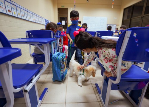 Projeto Cuidar e Adotar em um ato de Amor
