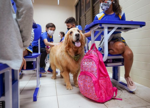 Projeto Cuidar e Adotar em um ato de Amor