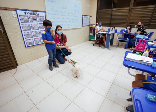 Projeto Cuidar e Adotar em um ato de Amor