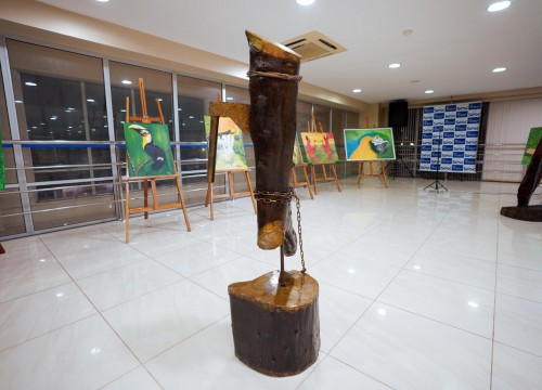 Vernissage - Exposição Elementos da Amazônia