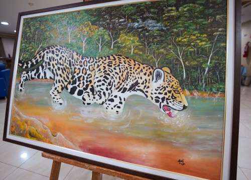 Vernissage - Exposição Elementos da Amazônia