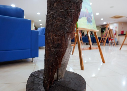 Vernissage - Exposição Elementos da Amazônia