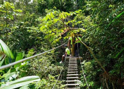 1º Encontro de Gestores 2023 - Bioparque da Amazônia 