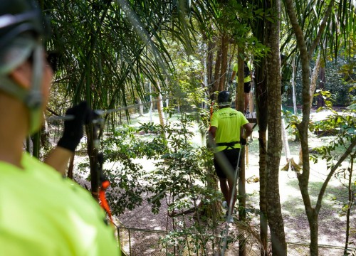 1º Encontro de Gestores 2023 - Bioparque da Amazônia 