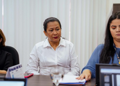 Reunião do Conselho Regional - Março 2024