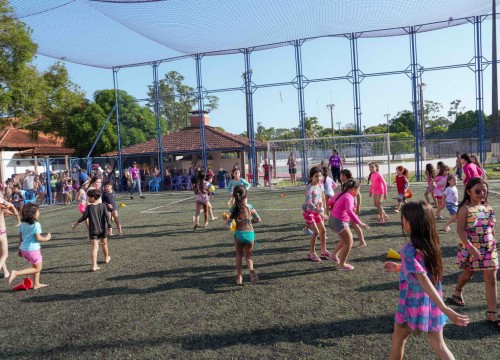 Sesc Colors