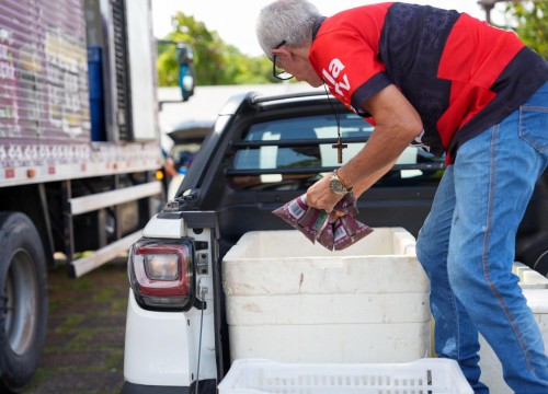 Doação de Bio Açaí pela Conab