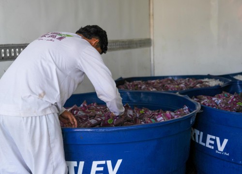Doação de Bio Açaí pela Conab