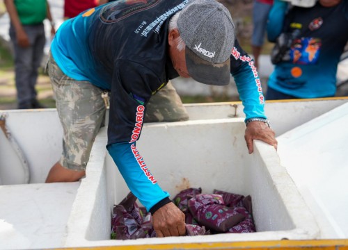 Doação de Bio Açaí pela Conab