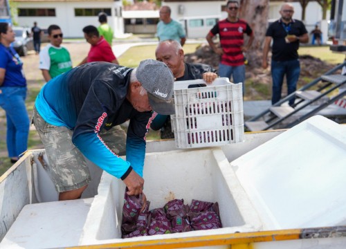 Doação de Bio Açaí pela Conab