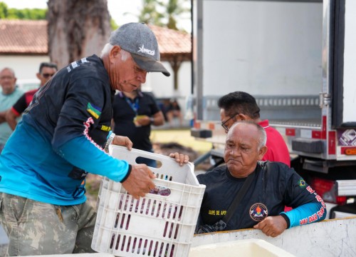 Doação de Bio Açaí pela Conab
