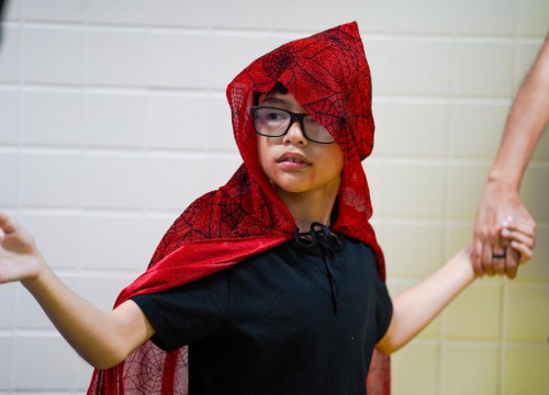 CARNAVAL ESCOLA SESC 2026