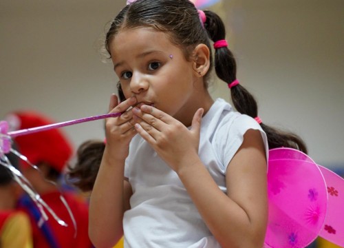 CARNAVAL ESCOLA SESC 2026