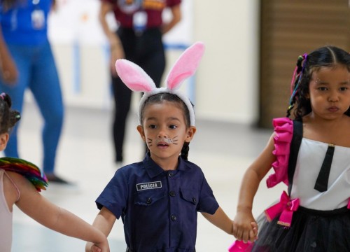CARNAVAL ESCOLA SESC 2026