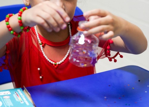 CARNAVAL ESCOLA SESC 2026