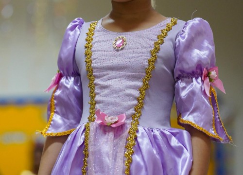 CARNAVAL ESCOLA SESC 2026