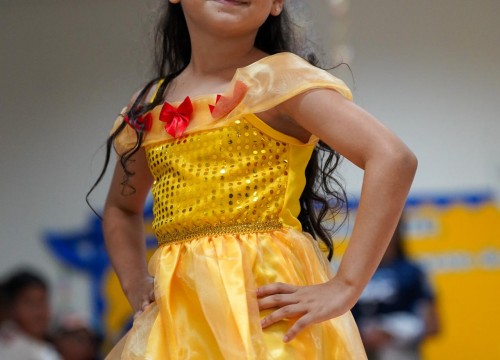 CARNAVAL ESCOLA SESC 2026