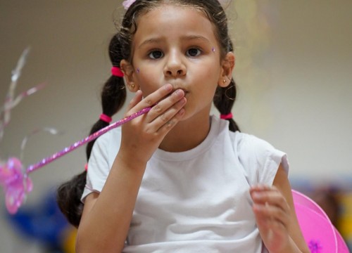 CARNAVAL ESCOLA SESC 2026