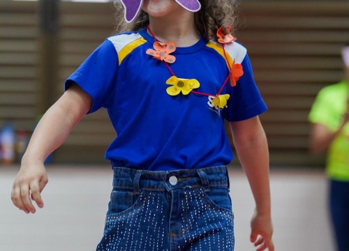 CARNAVAL ESCOLA SESC 2026