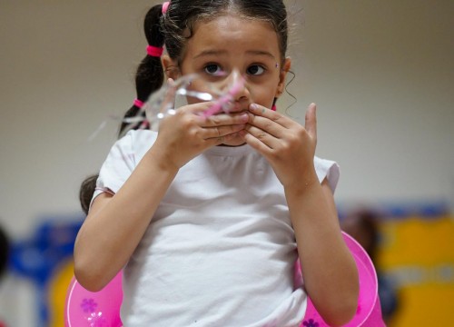 CARNAVAL ESCOLA SESC 2026