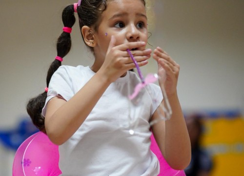 CARNAVAL ESCOLA SESC 2026