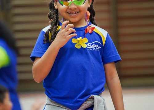 CARNAVAL ESCOLA SESC 2026