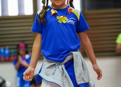 CARNAVAL ESCOLA SESC 2026