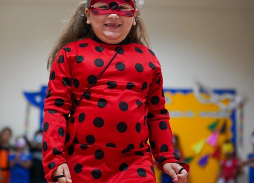 CARNAVAL ESCOLA SESC 2026