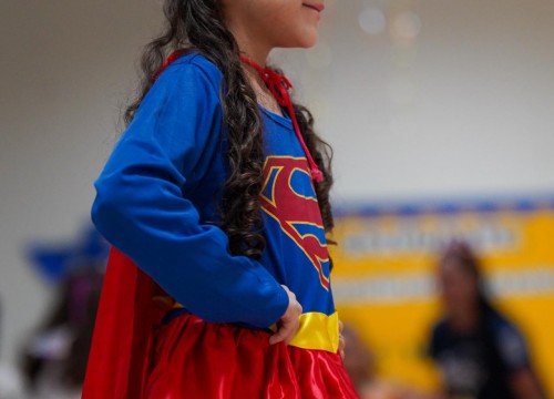 CARNAVAL ESCOLA SESC 2026