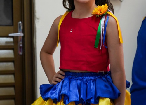 CARNAVAL ESCOLA SESC 2026