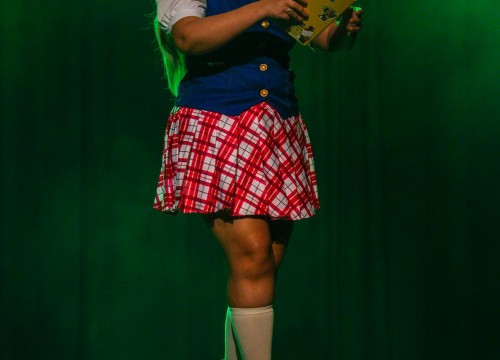 Dia do Orgulho Nerd 