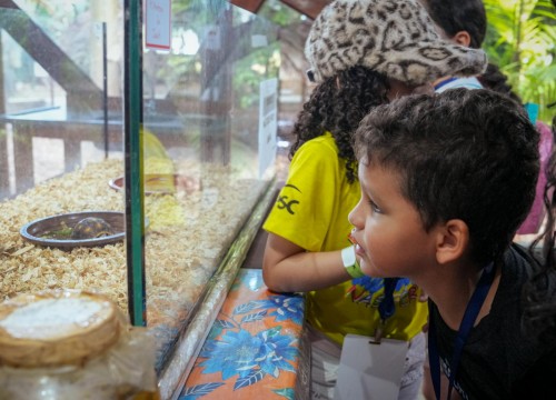 PASSEIO MUSEU SACACA ESCOLA SESC