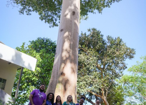 PASSEIO MUSEU SACACA ESCOLA SESC
