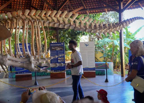 PASSEIO MUSEU SACACA ESCOLA SESC