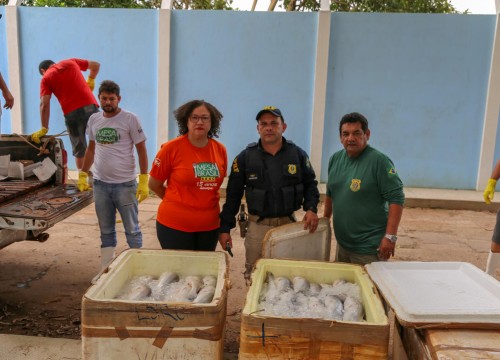 Mesa Brasil - IBAMA e PRF Destinam Apreensão De Peixe ao Programa