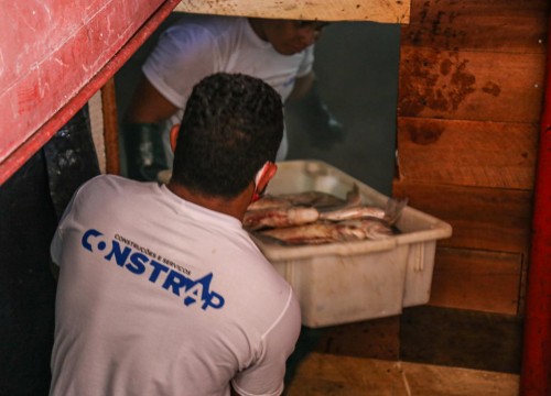 Ibama - Apreensão de peixes e doação ao Mesa Brasil