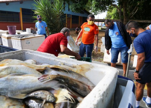 Ibama - Apreensão de peixes e doação ao Mesa Brasil