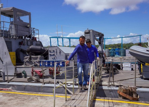 Apreensão Pescado - Marinha do Brasil, Ibama para o Programa Mesa brasil