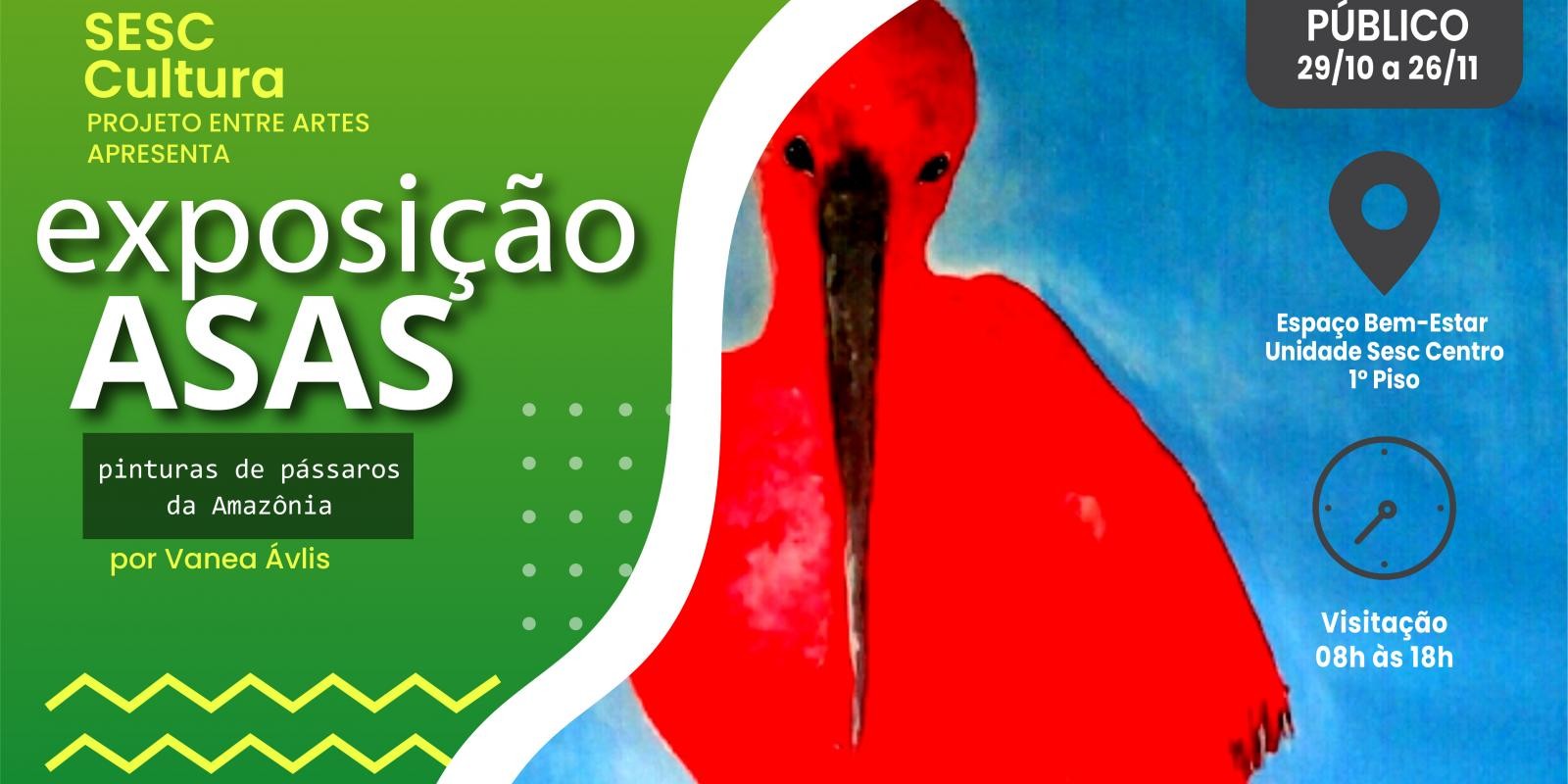 Sesc Amapá promove a exposição “Asas: pinturas de pássaros da Amazônia amapaense"